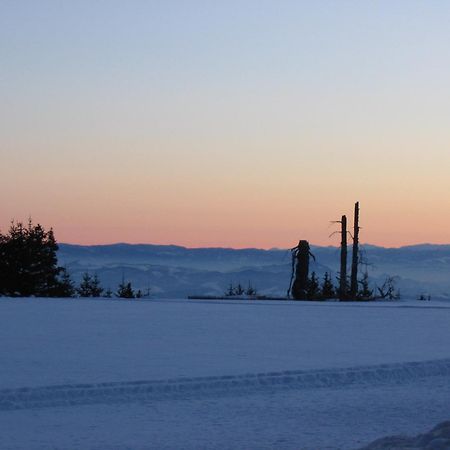 Villa Kostic Kopaonik Bagian luar foto