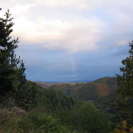 Villa Kostic Kopaonik Bagian luar foto