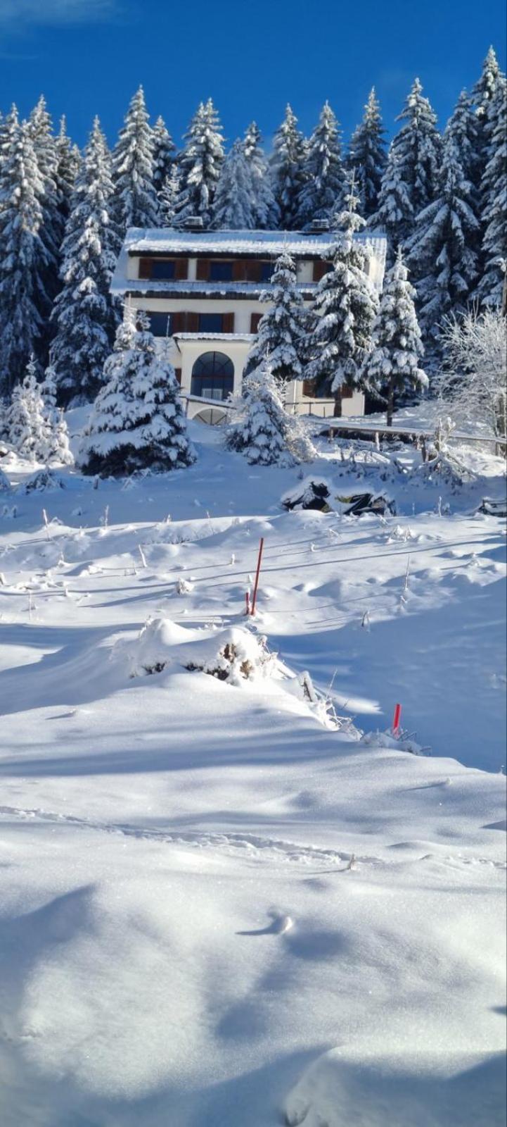 Villa Kostic Kopaonik Bagian luar foto