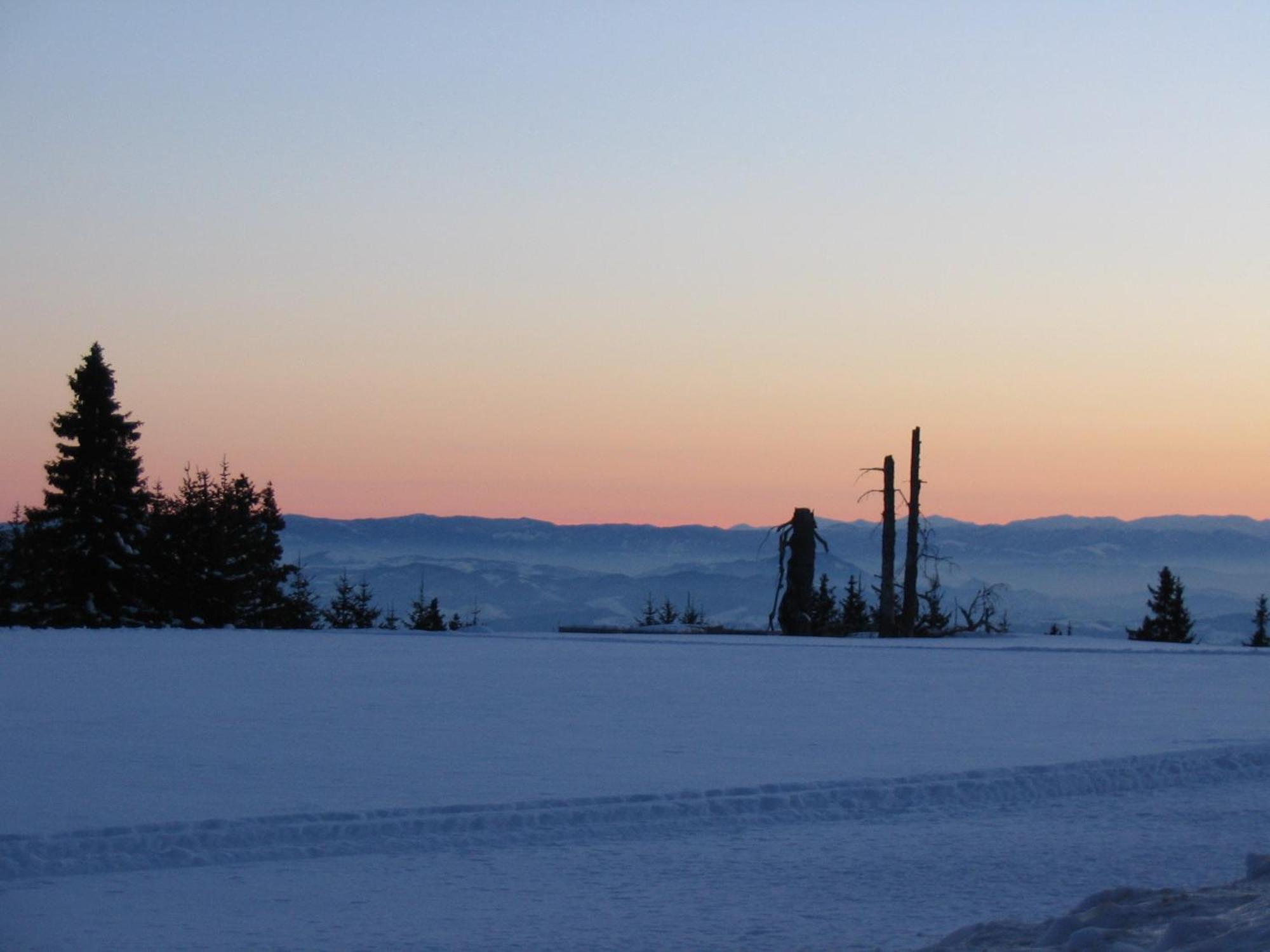 Villa Kostic Kopaonik Bagian luar foto