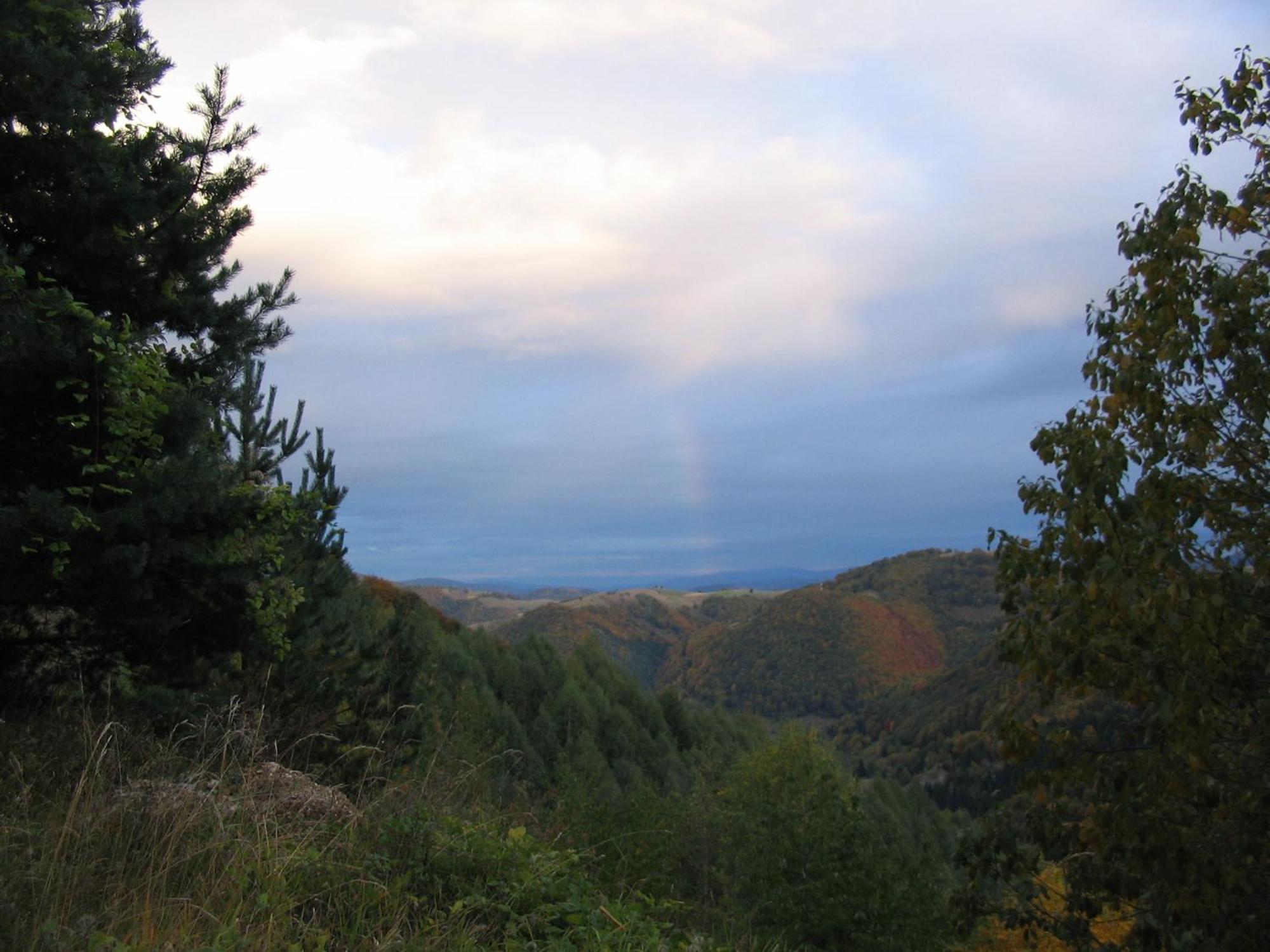 Villa Kostic Kopaonik Bagian luar foto