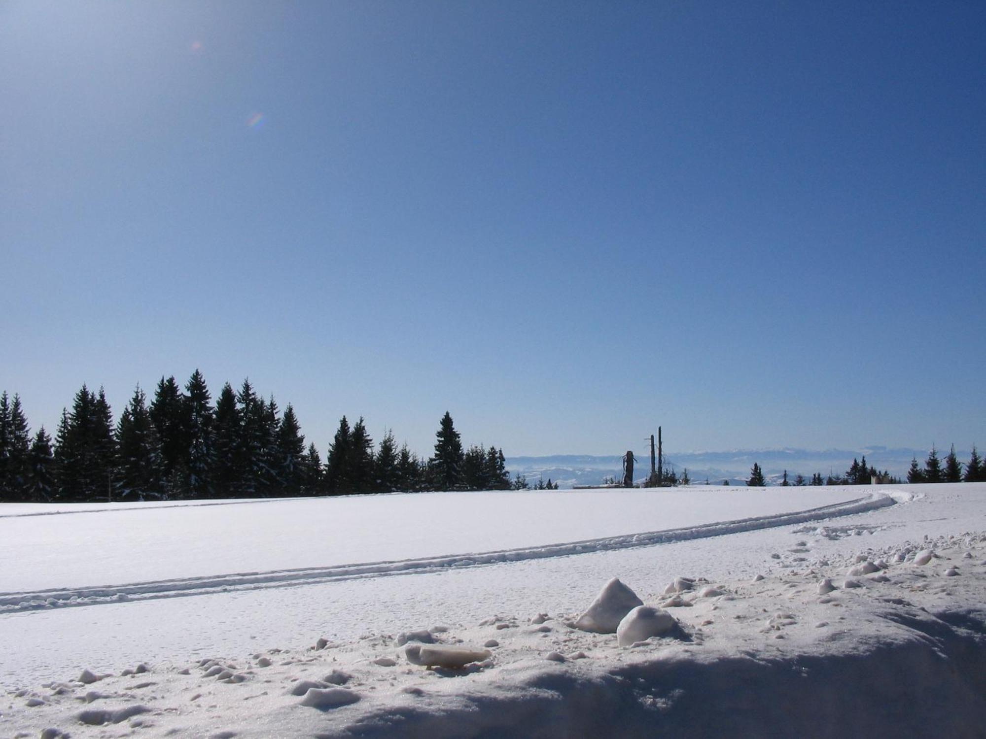 Villa Kostic Kopaonik Bagian luar foto