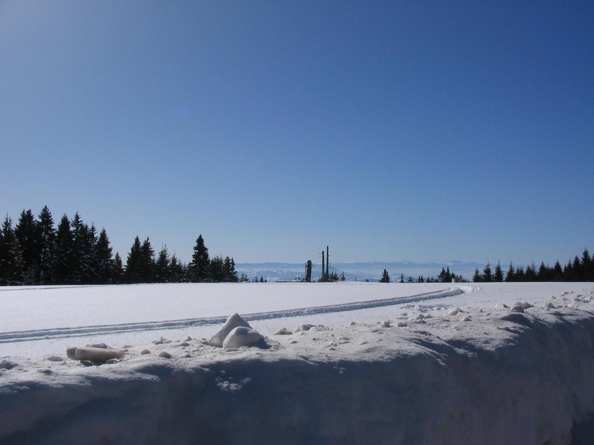 Villa Kostic Kopaonik Bagian luar foto