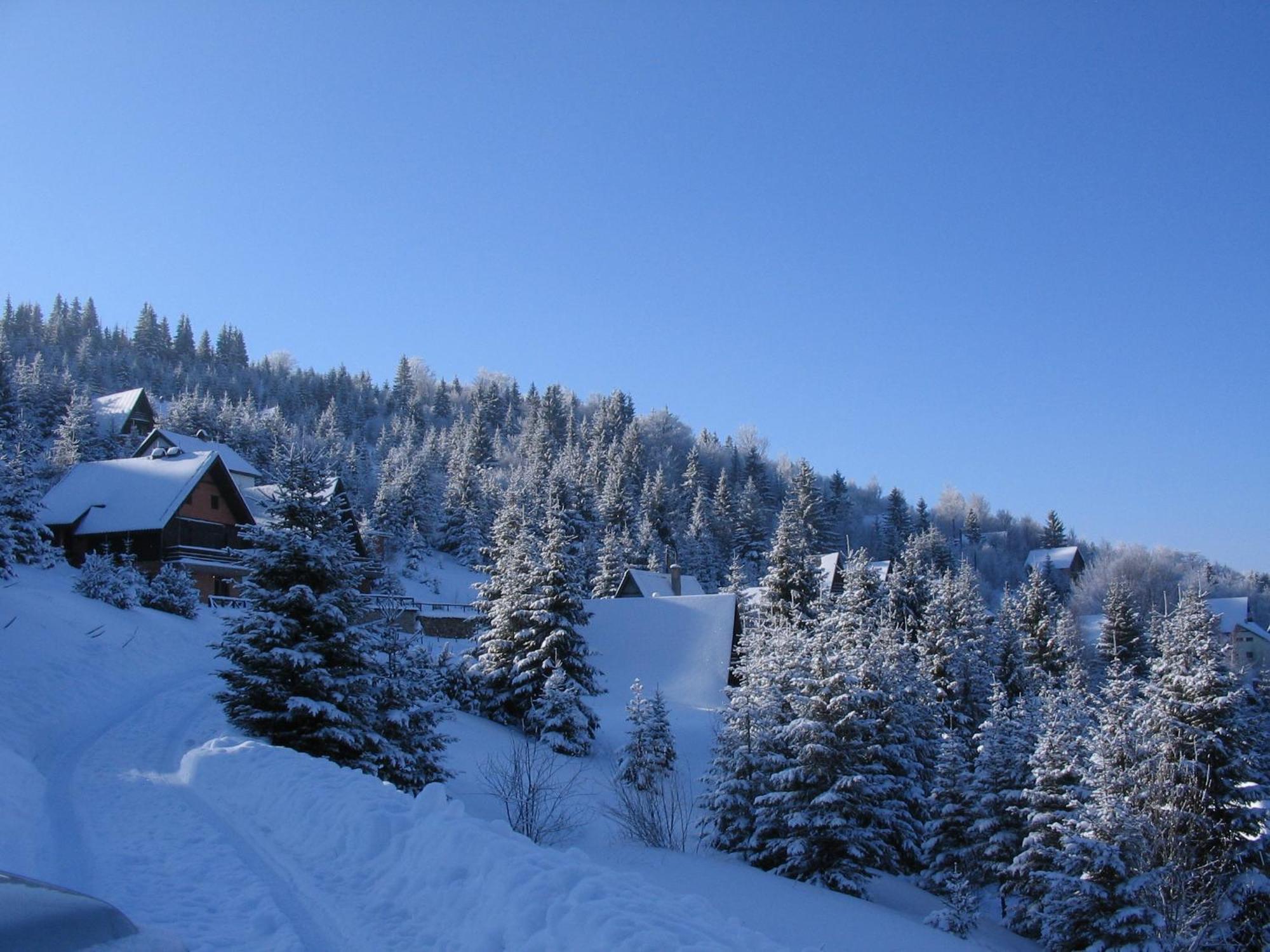 Villa Kostic Kopaonik Bagian luar foto