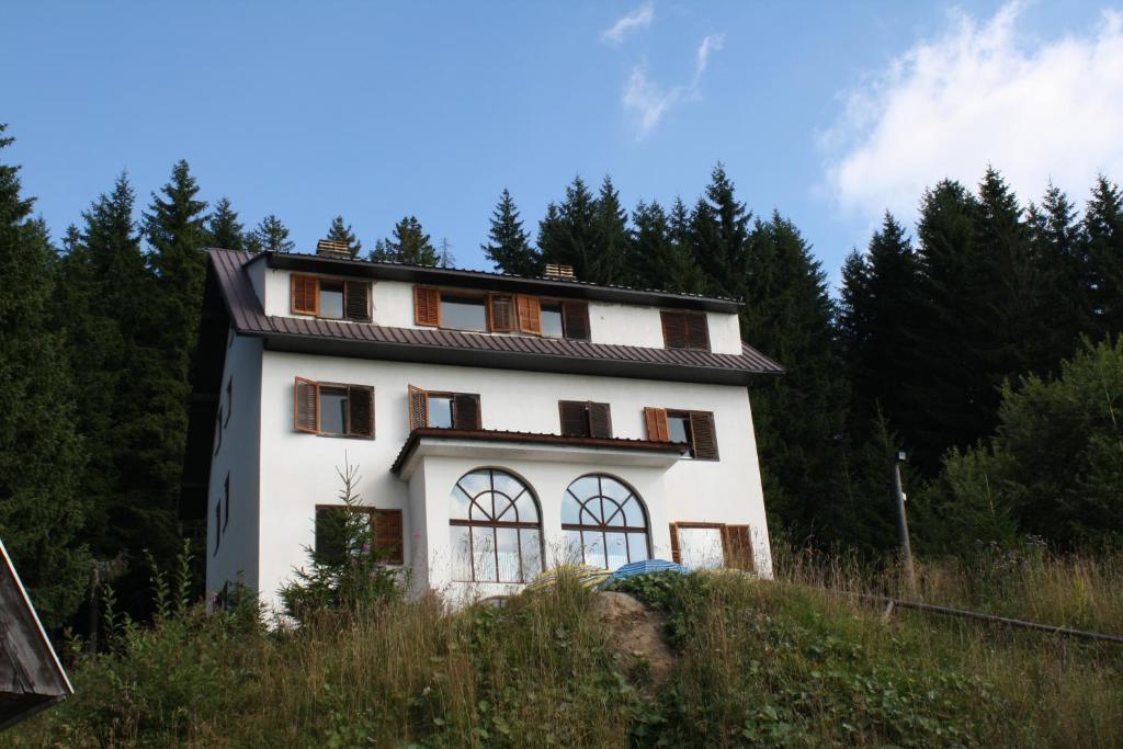 Villa Kostic Kopaonik Bagian luar foto