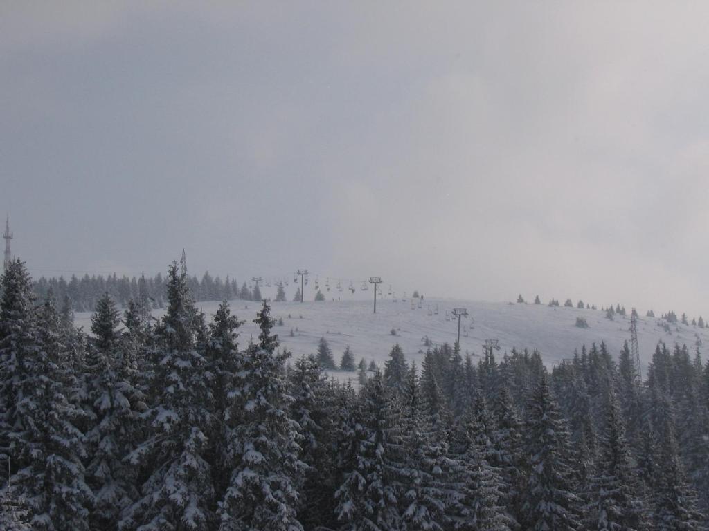 Villa Kostic Kopaonik Bagian luar foto