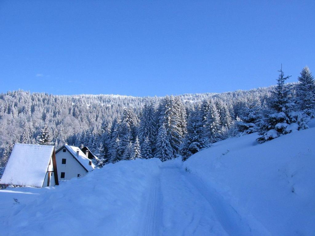 Villa Kostic Kopaonik Bagian luar foto