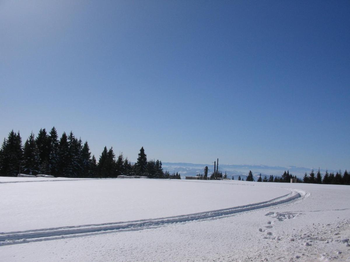 Villa Kostic Kopaonik Bagian luar foto